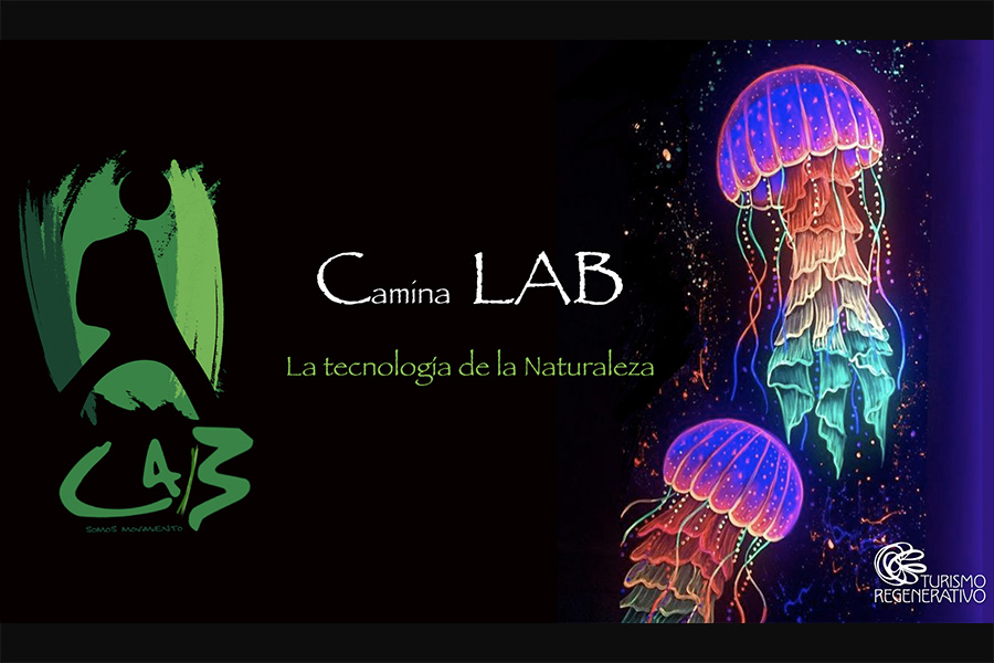 camina-lab